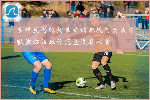多特反思对约基奇的犯规行为表示歉意称该动作完全没有必要